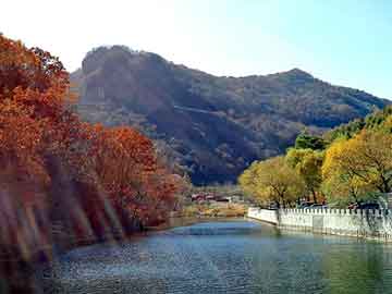 新澳门二四六天天彩，邪霸都市